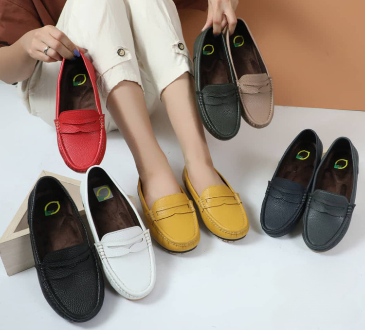 کالج طبی زنانه لیمو طب